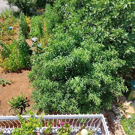 Apartmani Toni Vodice Exteriér fotografie